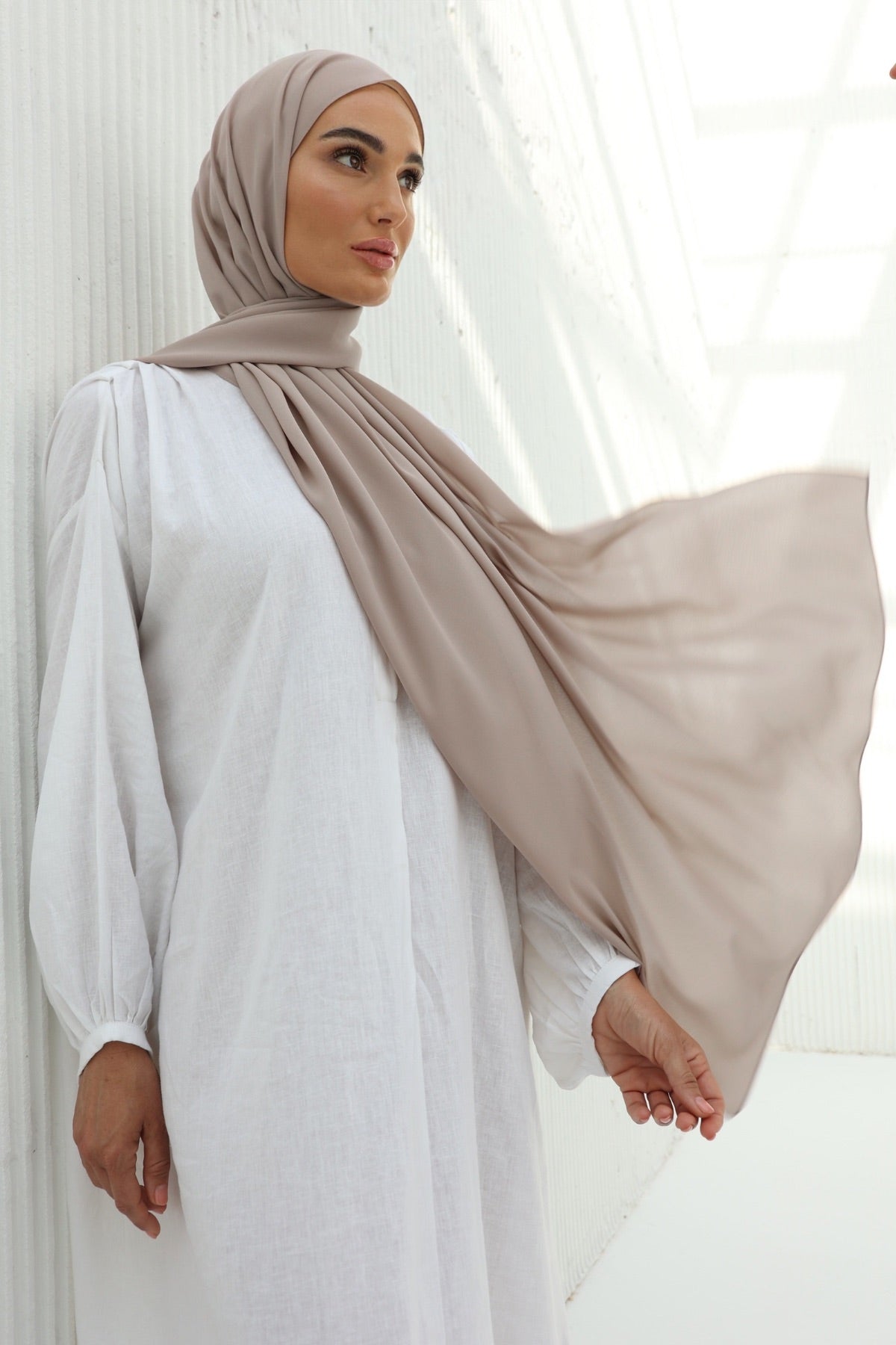 Double Chiffon - Silk